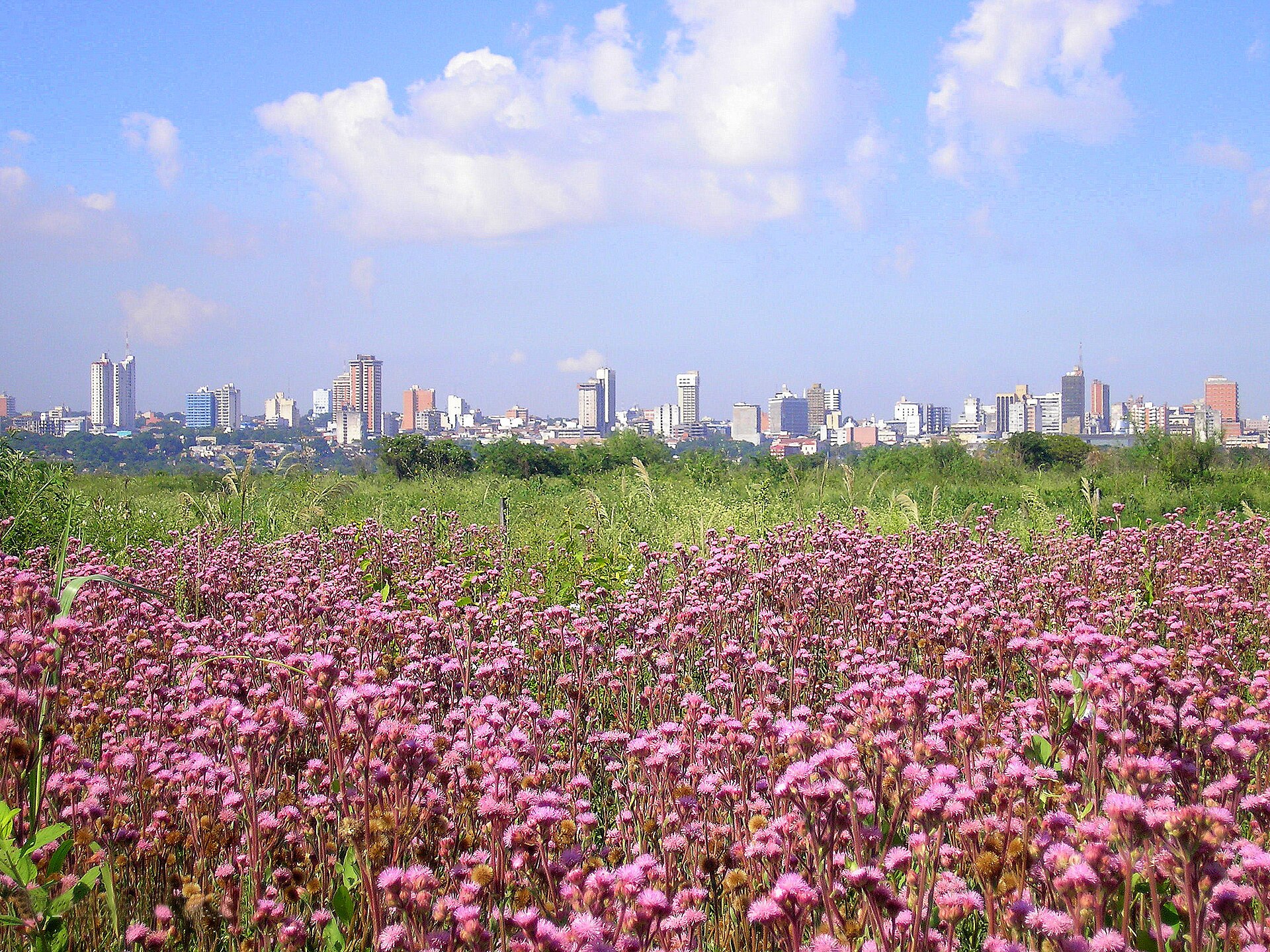 Skyline de Asunción